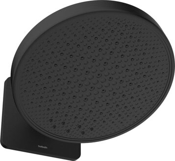 Hotbath &MORE Hoofddouche - 30cm - inbouw - rond - met box - 2 functies - Geborsteld zwart PVD M620MBP Zwart geborsteld
