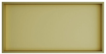Hotbath &MORE Inbouwbox of inbouwnis - 30x60x10 - Geborsteld messing PVD BOX060BBP Messing geborsteld (goud)