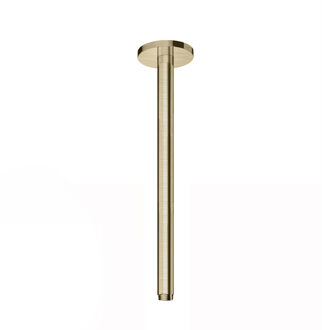 Hotbath Plafondbuis Hotbath Cobber Rond 30 cm Geborsteld Messing Living Colours