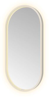 Hotbath Spiegel Hotbath &MORE 80x40 cm LED-Verlichting Spiegelverwarming Ovaal RVS