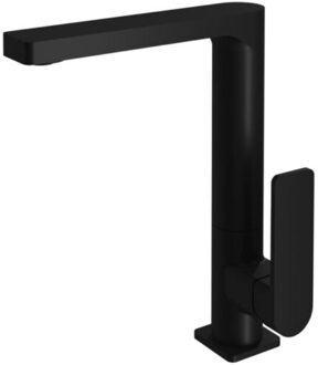 Hotbath Wastafelkraan Gal Met Draaibare Uitloop 25 cm Mat Zwart