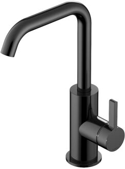 Hotbath Wastafelmengkraan Ace Met Draaibare Uitloop Gebogen 24 cm Gepolijst Zwart PVD