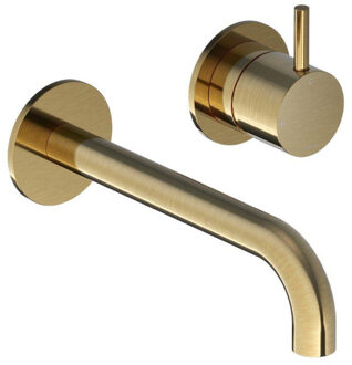 Hotbath Wastafelmengkraan Hotbath Cobber Inbouw 3+3 Inbouwsysteem 1-hendel Gebogen 18 cm Geborsteld Messing Living Colours