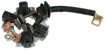 Houder, koolborstel SBH5009