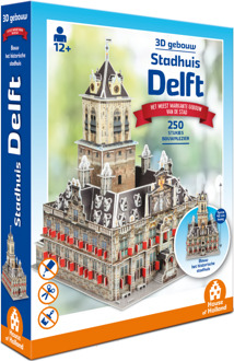 House Of Holland 3D Building - Town Hall Delft (250)