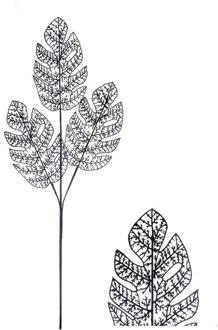 House of Nature Monstera tak met glitter blad 78cm zwart zilver