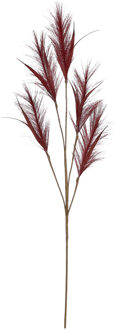 House of Seasons Pluimgras losse steel/tak - meerdere stengels - bordeaux rood - 98 cm - Decoratie kunst pluimen