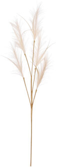 House of Seasons Pluimgras losse steel/tak - meerdere stengels - creme wit - 98 cm - Decoratie kunst pluimen