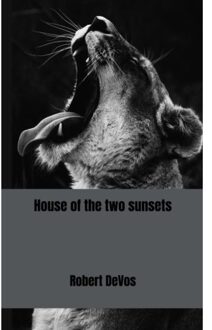 House Of The Two Sunsets - Robert DeVos