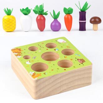 Houten Board Groente Wortel Oogst Matching Puzzel Kinderen Kids Peuter Speelgoed Kids Educatief Speelgoed Voor Kinderen