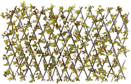 Houten Hek Duurzaam Intrekbare Plant Klimrek Latwerk Bloem Decoratie Stand Uitbreiden Plant Hek Privacy Screen # G3