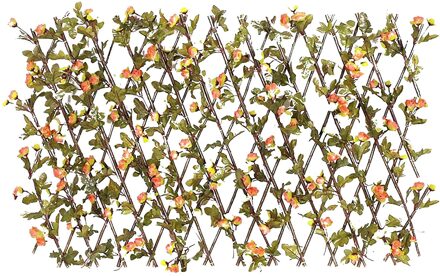 Houten Hek Duurzaam Intrekbare Plant Klimrek Latwerk Bloem Decoratie Stand Uitbreiden Plant Hek Privacy Screen # G3