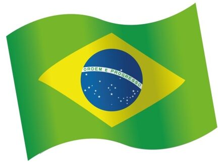 Houten Tafeldecoratie Brazilië (16st) Multikleur - Print