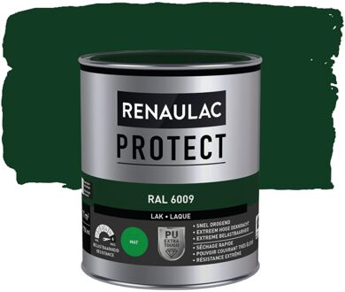 Houtlak Binnen Protect - Dennengroen Ral 6009 - Mat