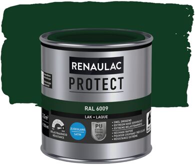 Houtlak Protect - Zijdeglans - Dennengroen Ral 6009 - 250ml