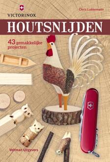 Houtsnijden - Boek Chris Lubkemann (9048313155)