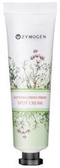 Houttuynia Cordata Ferment Spot Cream 30ml