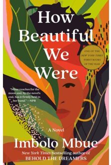 How Beautiful We Were - Imbolo Mbue