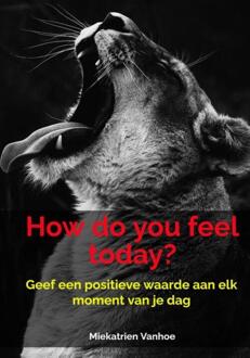 How do you feel today? -  Miekatrien Vanhoe (ISBN: 9789464809244)