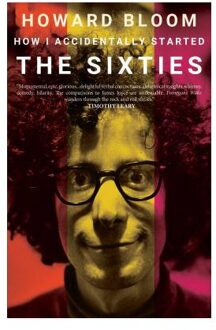 How I Accidentally Started The Sixties