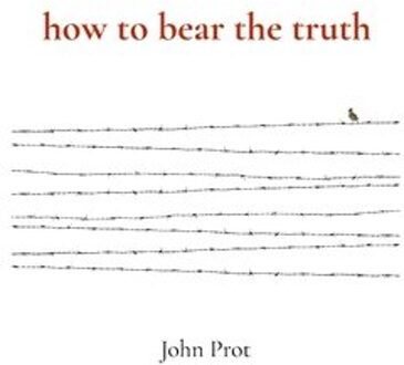 How To Bear The Truth - John Prot