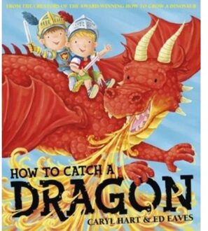 How To Catch a Dragon