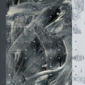 How To Colour A Thousand Mistakes - Orcas