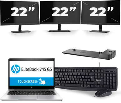 HP EliteBook 745 G5 - AMD Ryzen 5 2500U - 14 inch - 8GB RAM - 256GB SSD - Windows 10 + 3x 22 inch Monitor