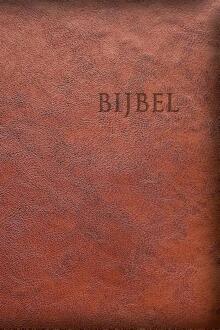 Hsv Edge Lined - Bruin