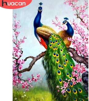 Huacan 5D Diy Diamant Schilderen Volledige Display Pauw Diamant Borduurwerk Vol Vierkante Mozaïek Foto Van Steentjes Home Decor plein Drill 50X70cm