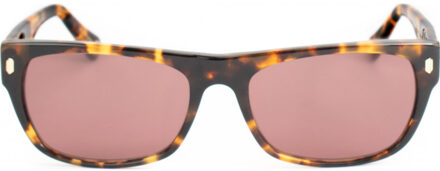 HUDSON-S184 HUDSON 54 S184 Zonnebril Bruin - One Size