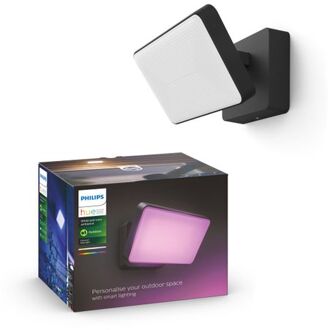 Hue White & Color Ambiance Discover Floodlight Zwart