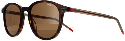 Hugo Boss Hugo van Hugo Boss Zonnenbril HG 1169/S 086 70 Dark Havana Brown - maat Bruin