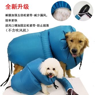 Huisdier Drogen Tas Blazen Machine Grote Hond Gewijd Hond Drogen Artefact Hond Föhn Thermostatische Asciugatrice 3000W Roze