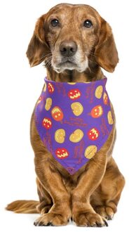 Huisdier Halsdoek Kat Hond Accessoires Sjaal Waterdicht Bandana Slabbetjes Sjaal Kraag Huisdier Speeksel Handdoek Halloween Huisdier Driehoek Handdoek