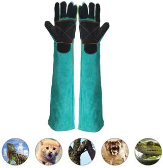 Huisdier Handschoenen Bijtvast Handschoenen Twee-Layer Lederen Ondersteuning Pad Hond Kat Cutting-Proof Anti-Doorn huisdier Handschoenen Huisdier Handling Handschoenen 60cm / groen