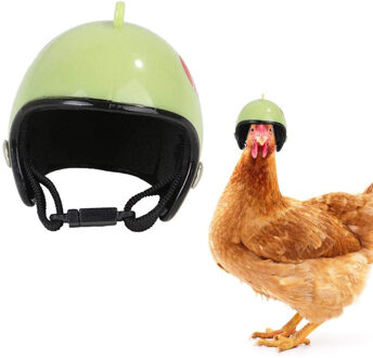 Huisdier Kip Helm Gear Zon Regen Bescherming Kleine Dier Veiligheidshelm Helm Protector Dierbenodigdheden Kostuums Accessoires blauw