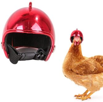 Huisdier Kip Helm Gear Zon Regen Bescherming Kleine Dier Veiligheidshelm Helm Protector Dierbenodigdheden Kostuums Accessoires rood