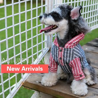 Huisdier Kleding Grote Hond Kleren Groen Hooded Shirt groen / Xxxl