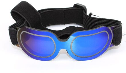 Huisdier Producten Kleurrijke Hond Bril Zonnebril blauw