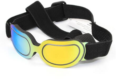 Huisdier Producten Kleurrijke Hond Bril Zonnebril kleurrijk kleur