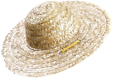 Huisdier Sombrero Hoed Hond Kat Hoed Kleine Hond Outdoor Accessoires Wandelen Huisdier Producten Kleine/Grote Honden hoeden