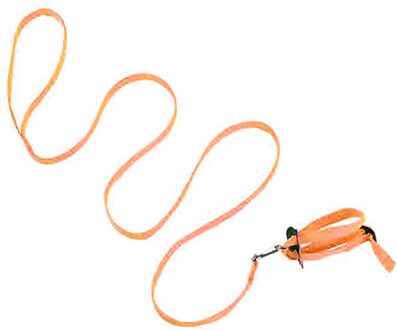 Huisdier Vogel Harness En Leash Verstelbare Parrot Bird Harness Leash Pet Anti Bite Training Touw Zachte Draagbare Huisdier Vogels Playthings oranje