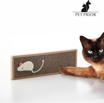 Huisdier Voorafgaande Kat Krassen Blok Met Kattenkruid