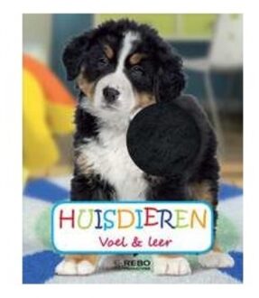 Huisdieren - Boek Rebo Productions (9036633060)