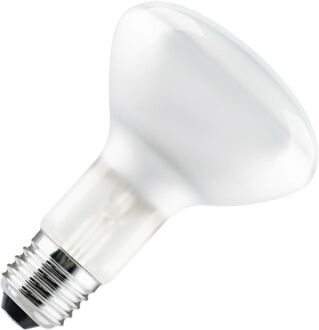 Huismerk gloeilamp Gloeilamp Reflectorlamp | Grote fitting E27 | 100W 95mm Mat