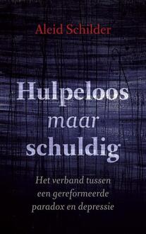 Hulpeloos maar schuldig - Boek Aleid Schilder (9043523461)