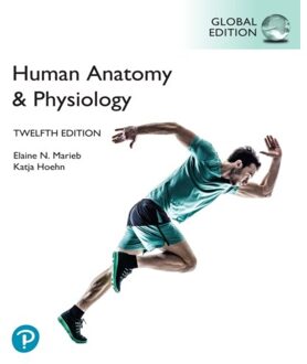 Human Anatomy & Physiology, Global Edition - Marieb, Elaine