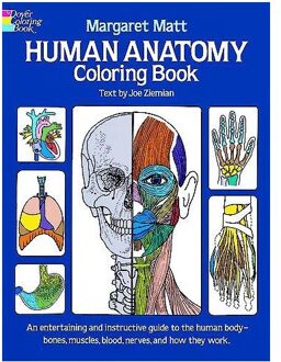 Human Anatomy