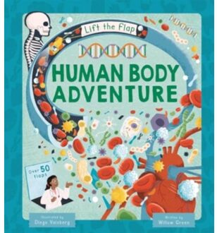 Human Body Adventure - A Lift-The-Flap Book - Autumn Publishing